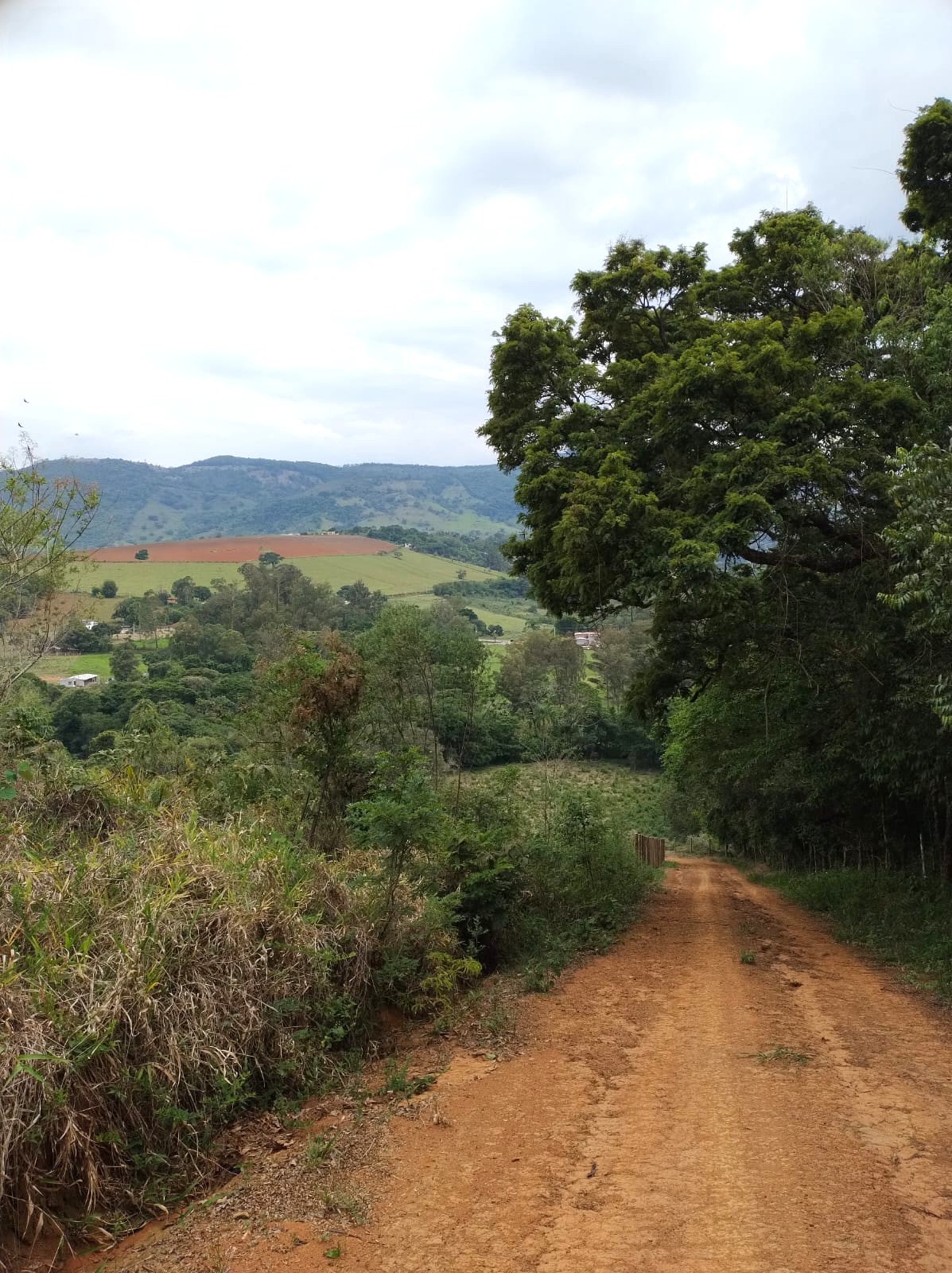 WhatsApp Image 2025-11-17 at 17.53.19