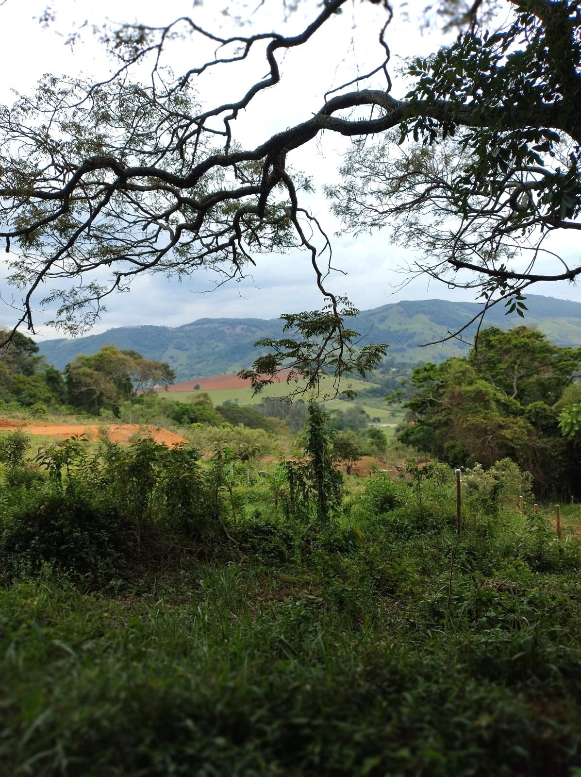 WhatsApp Image 2025-11-17 at 17.53.20 (1)