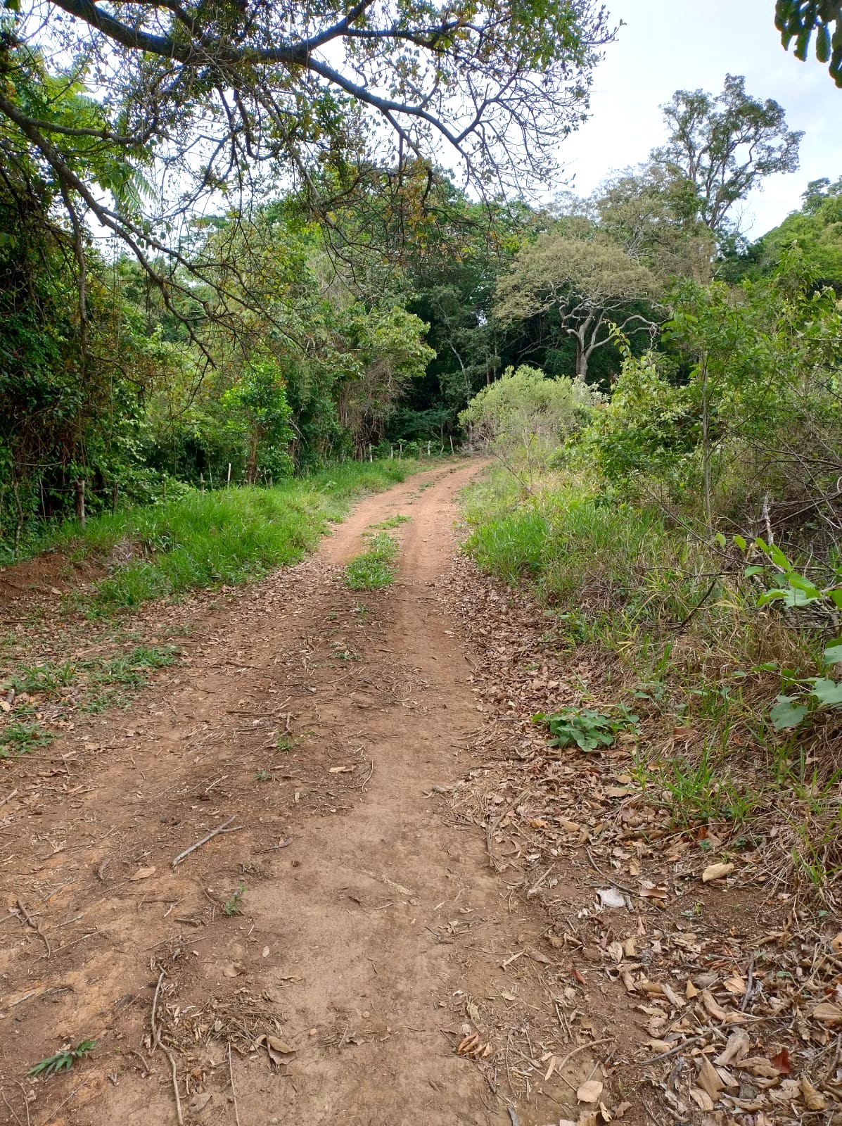 WhatsApp Image 2025-11-17 at 17.53.20 (2)