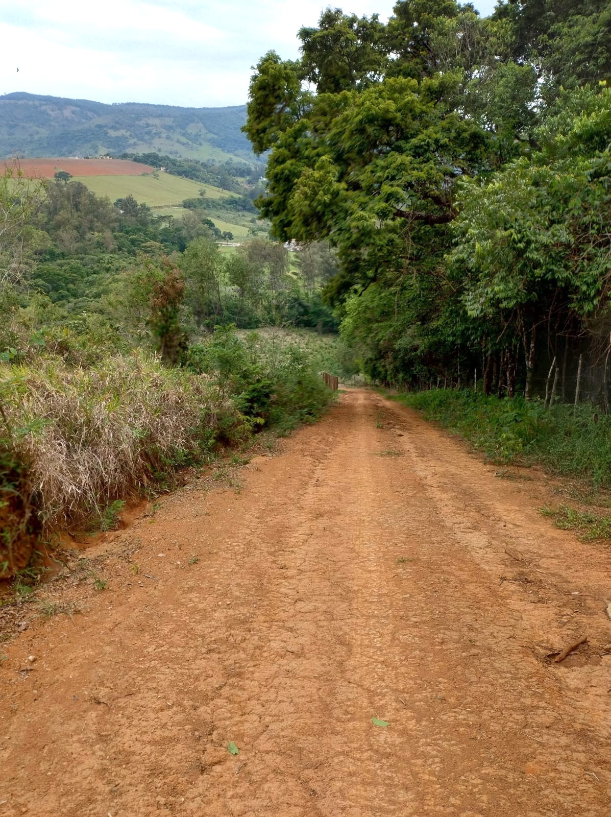 WhatsApp Image 2025-11-17 at 17.53.20