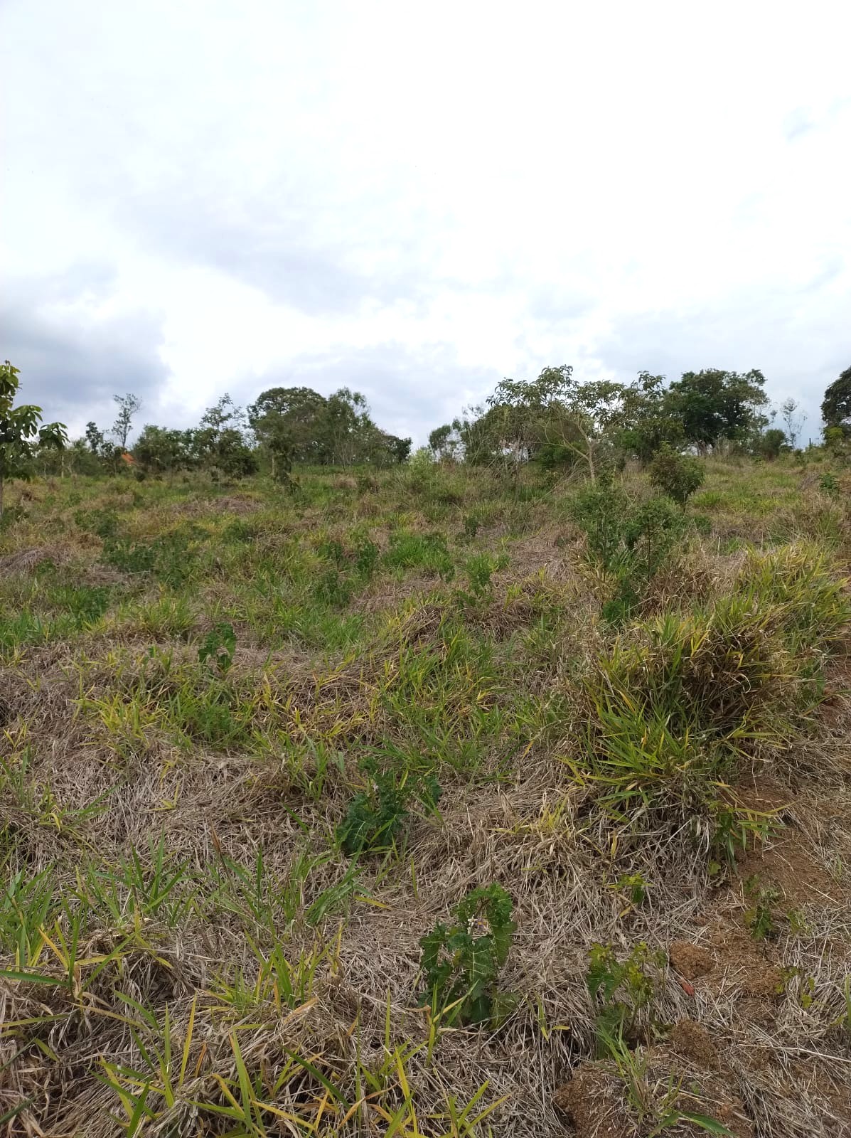 WhatsApp Image 2025-11-17 at 17.53.21 (1)