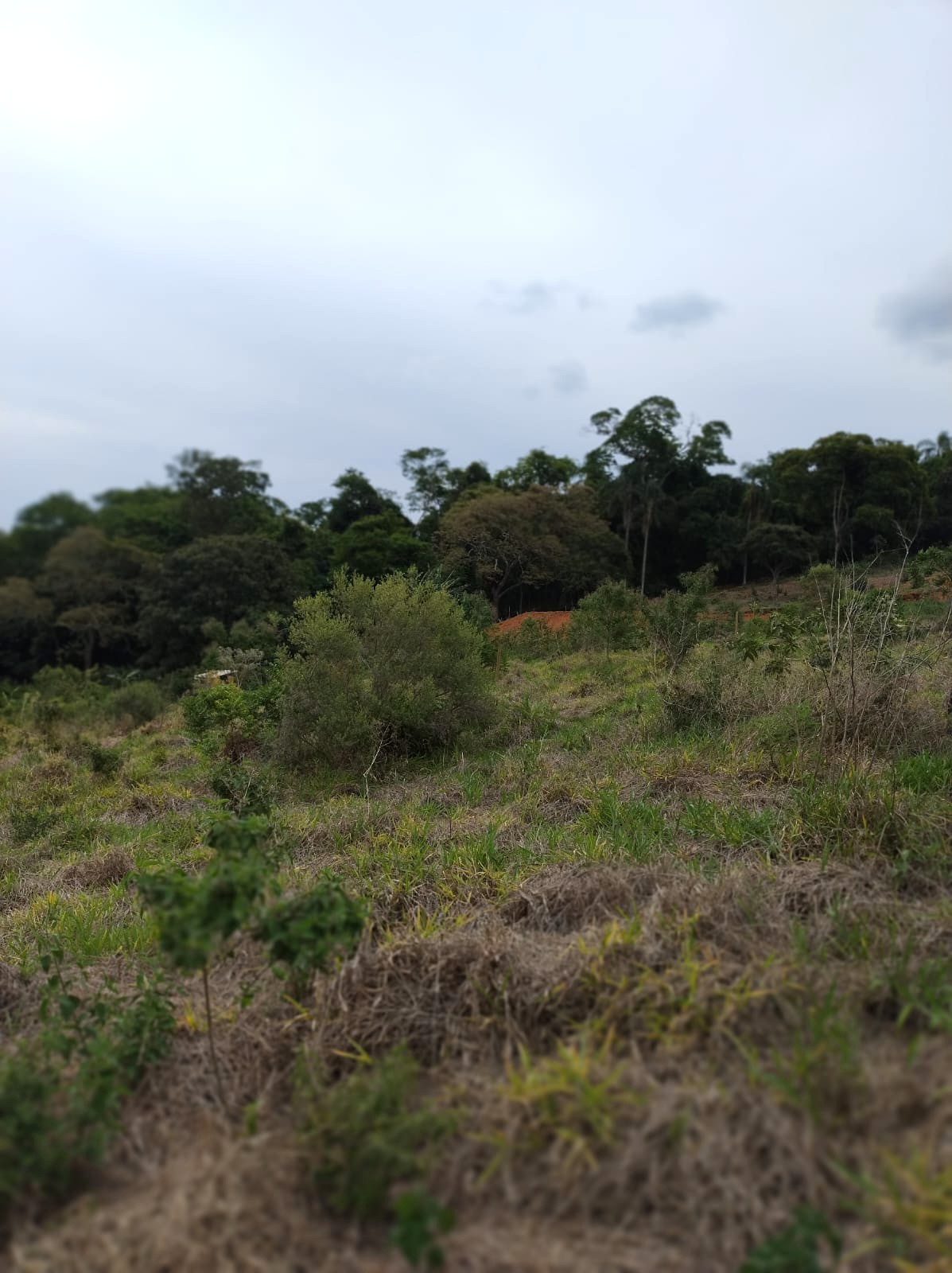 WhatsApp Image 2025-11-17 at 17.53.21 (2)