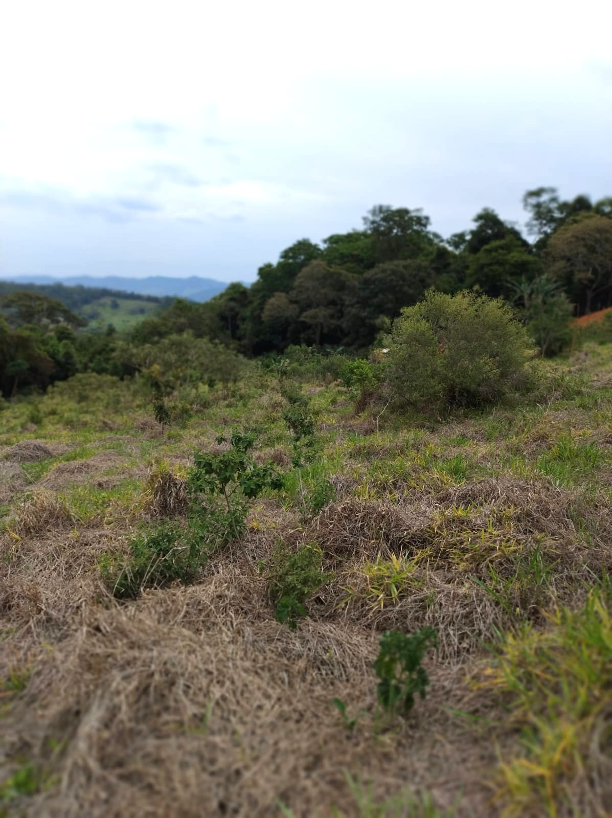 WhatsApp Image 2025-11-17 at 17.53.22