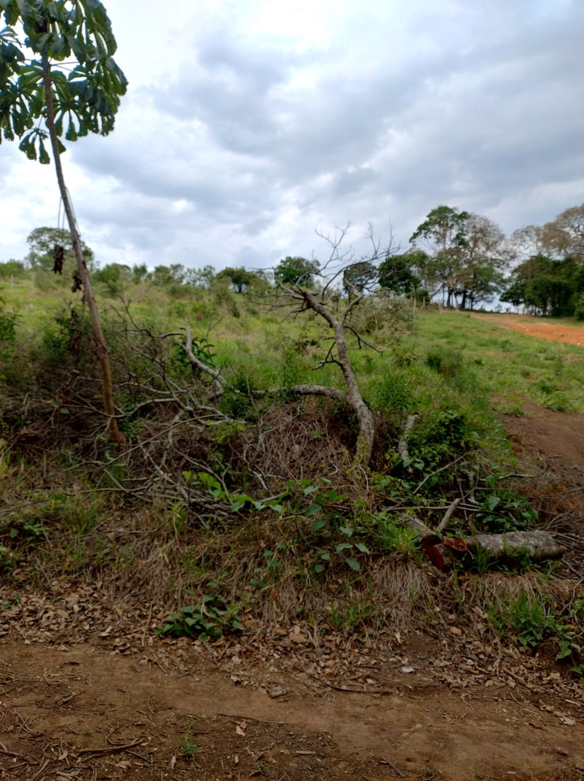 WhatsApp Image 2025-11-17 at 17.53.23