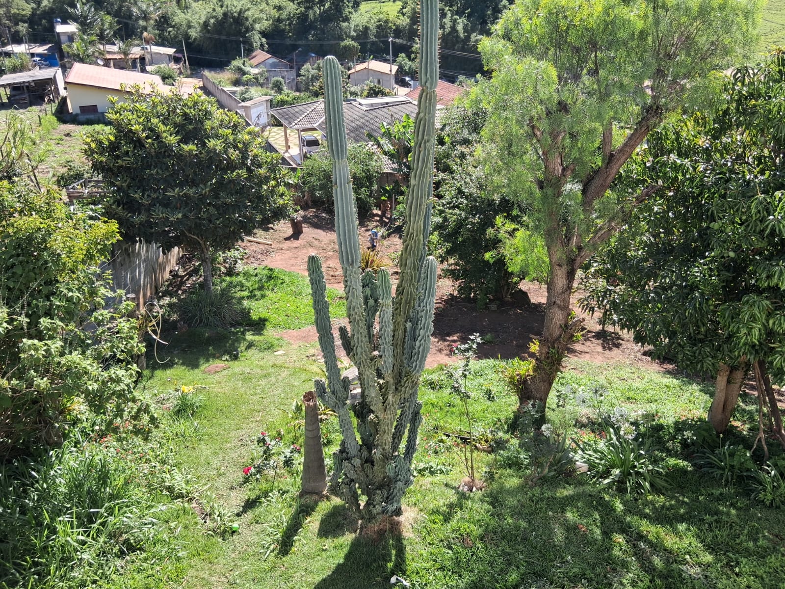 WhatsApp Image 2026-04-01 at 12.19.57 (1)