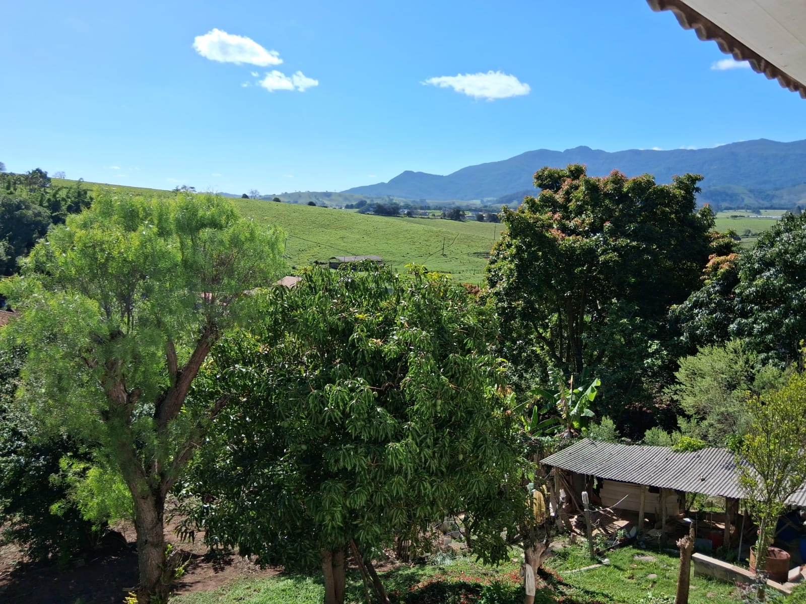 WhatsApp Image 2026-04-01 at 12.19.57