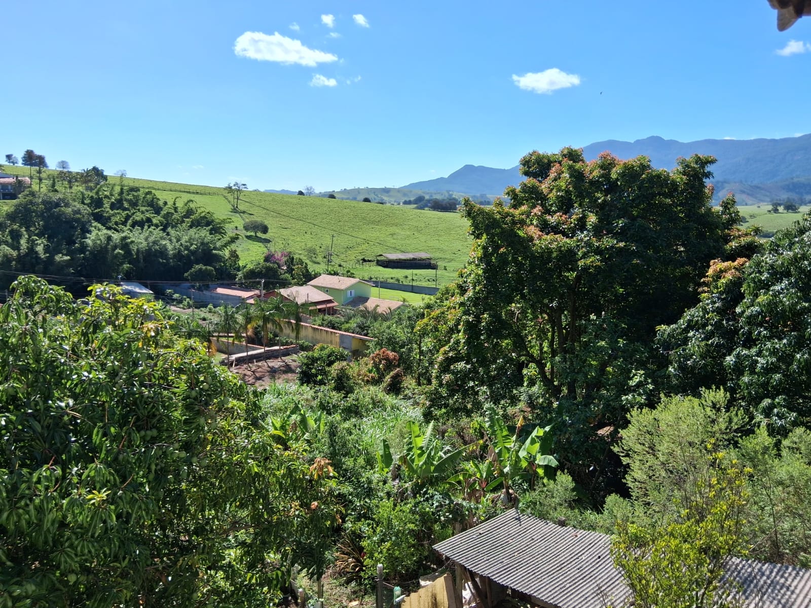 WhatsApp Image 2026-04-01 at 12.19.58 (2)