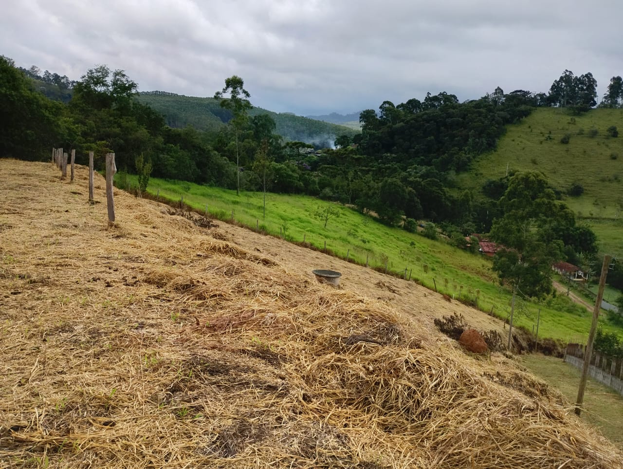 WhatsApp Image 2026-04-01 at 12.20.11 (4)