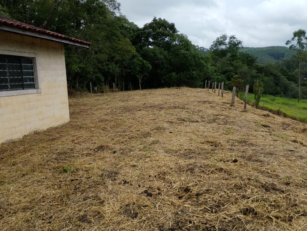 WhatsApp Image 2026-04-01 at 12.20.12 (1)