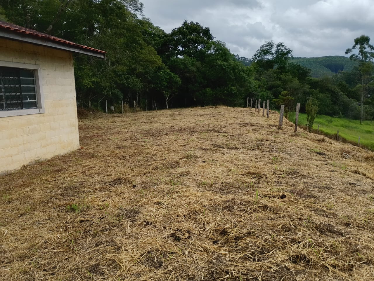 WhatsApp Image 2026-04-01 at 12.20.12 (2)