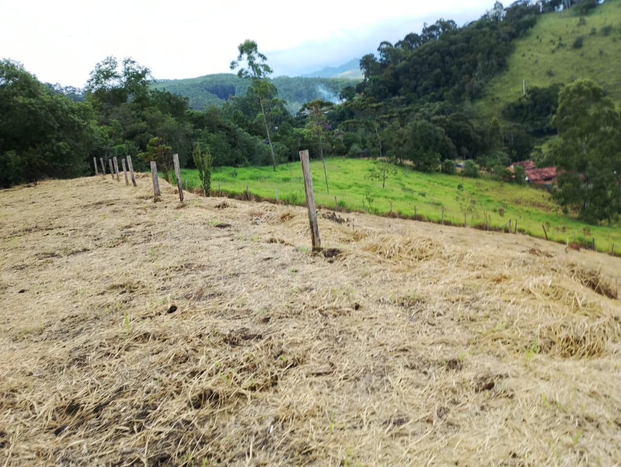 WhatsApp Image 2026-04-01 at 12.20.12 (3)