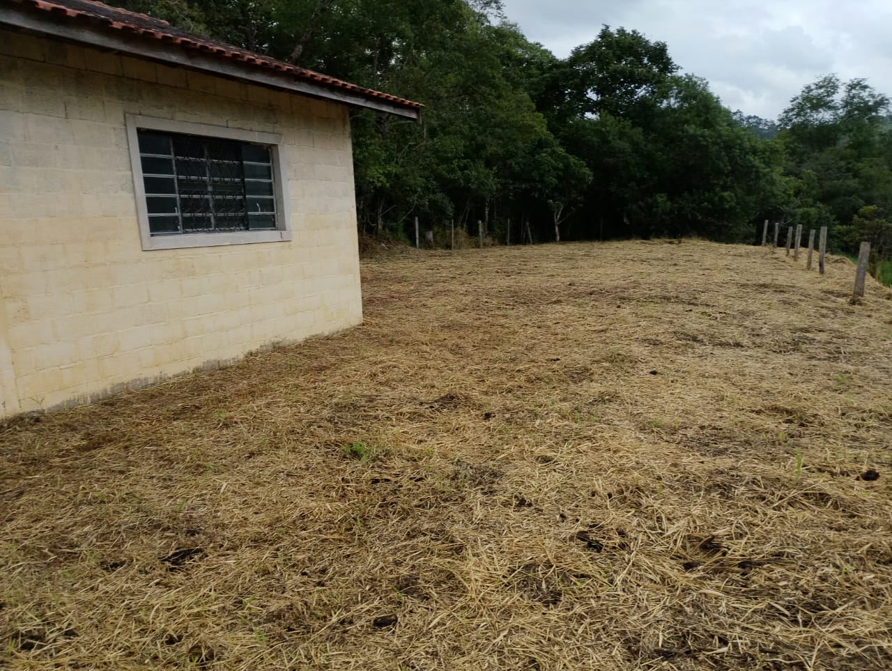 WhatsApp Image 2026-04-01 at 12.20.12