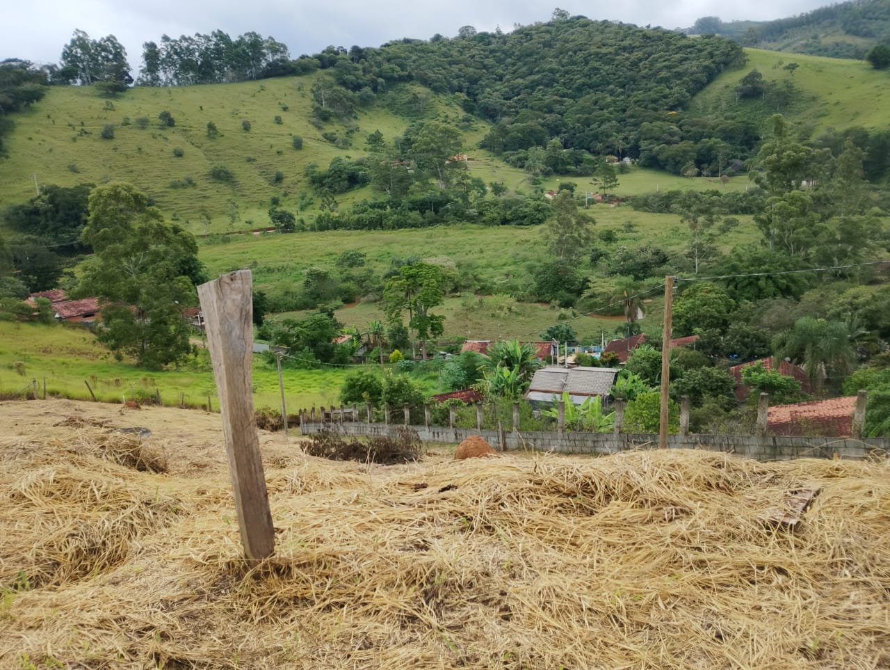 WhatsApp Image 2026-04-01 at 12.20.13 (1)