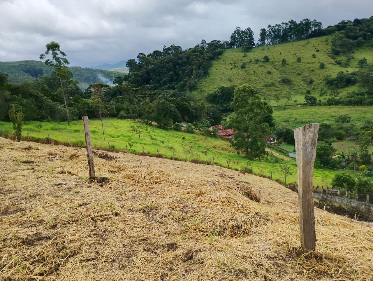 WhatsApp Image 2026-04-01 at 12.20.13