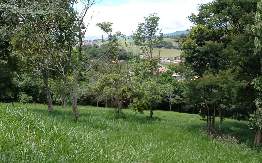 WhatsApp Image 2026-04-01 at 12.21.17