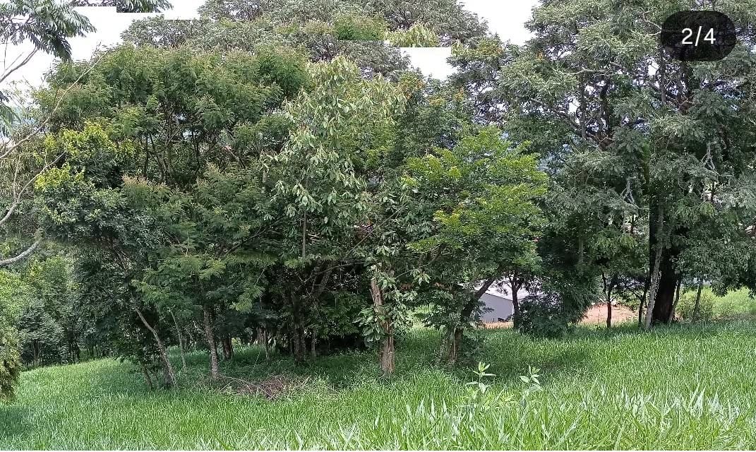 WhatsApp Image 2026-04-01 at 12.21.18 (1)