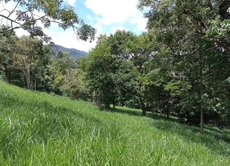 WhatsApp Image 2026-04-01 at 12.21.18 (2)