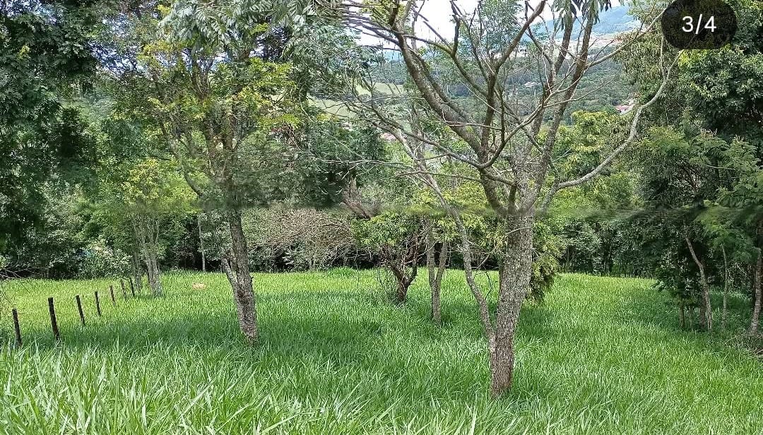 WhatsApp Image 2026-04-01 at 12.21.18