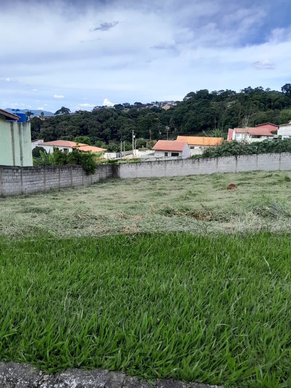 WhatsApp Image 2026-04-01 at 12.21.49 (1)