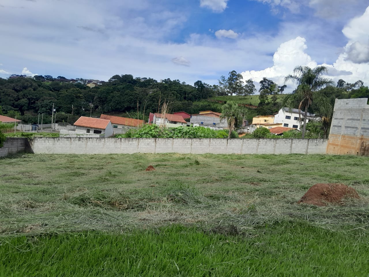 WhatsApp Image 2026-04-01 at 12.21.49